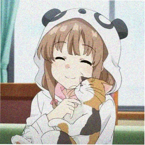 站友头像